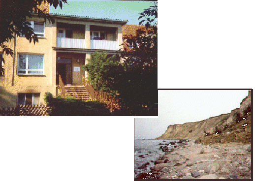 view -surroundings and houses-